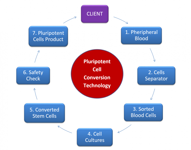 SOSA STEMCELL Cell Conversion Technology